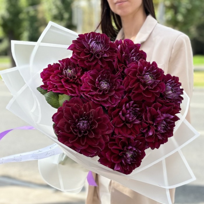 11 темно-фиолетовых георгин