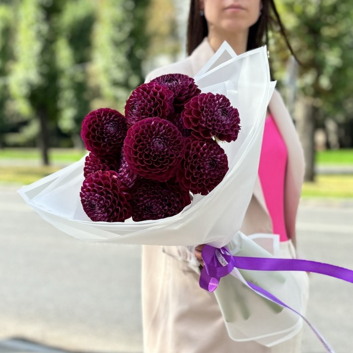 11 темно-фиолетовых георгин Помпон