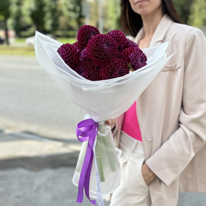 11 темно-фиолетовых георгин Помпон