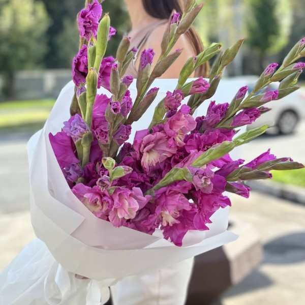 11 темно-розовых гладиолусов