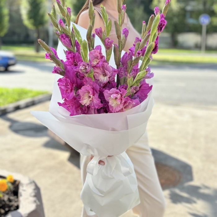 11 темно-розовых гладиолусов