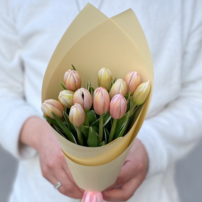 11 тюльпанов Марк Дизайн