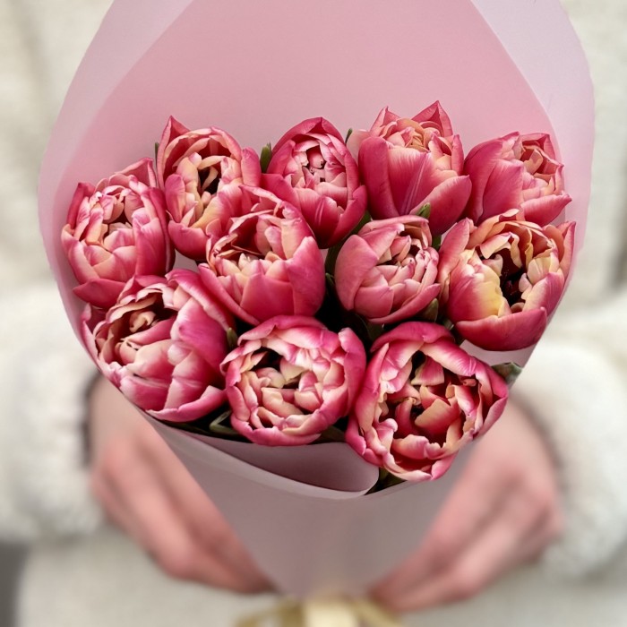 11 тюльпанов Коламбус