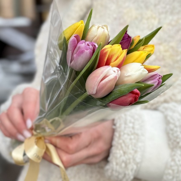 11 тюльпанов микс