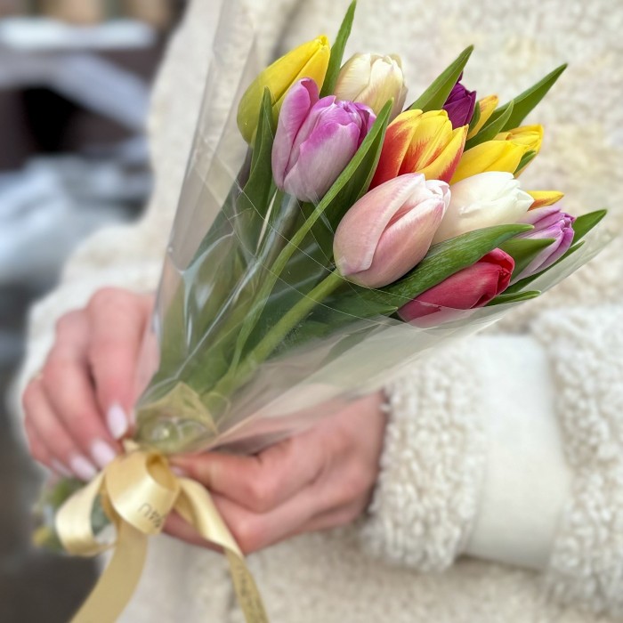 11 тюльпанов микс