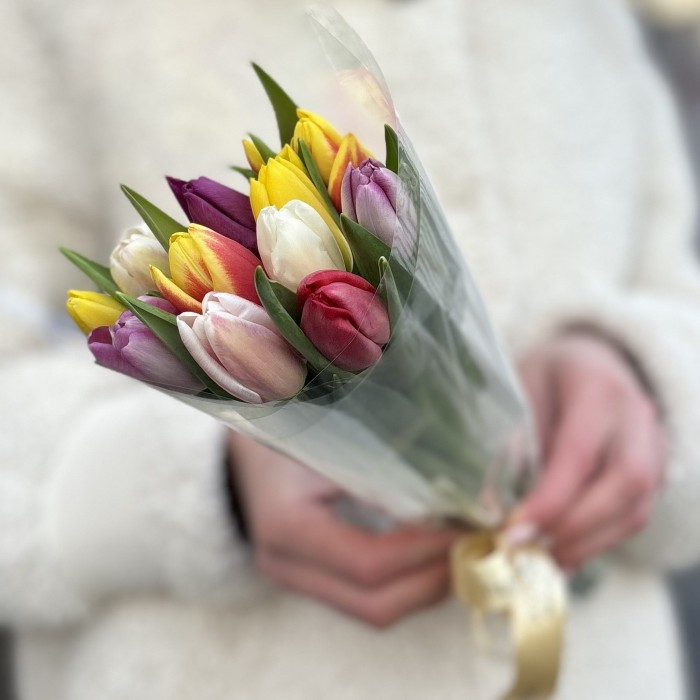 11 тюльпанов микс