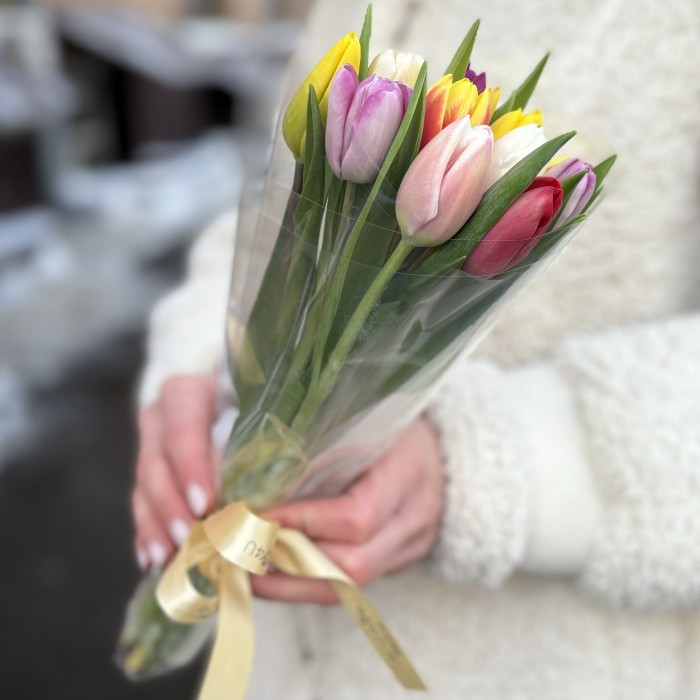 11 тюльпанов микс