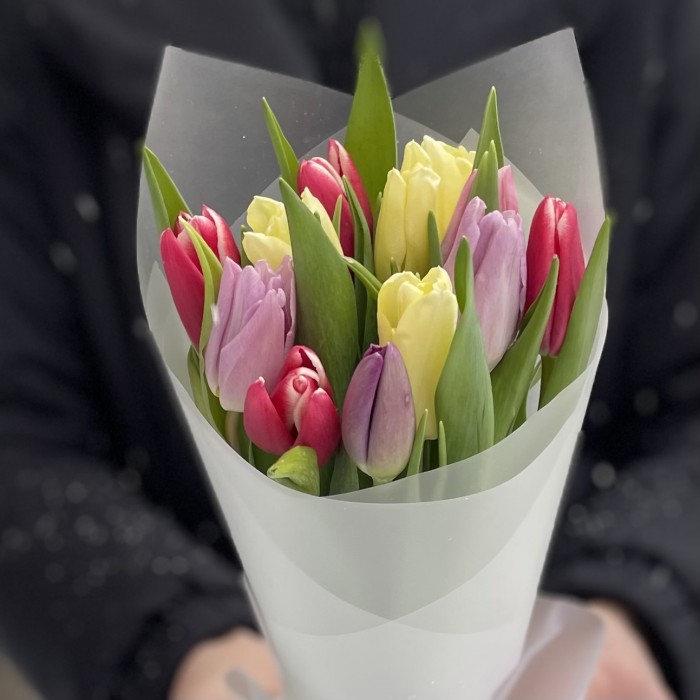 11 тюльпанов микс пастельных оттенков