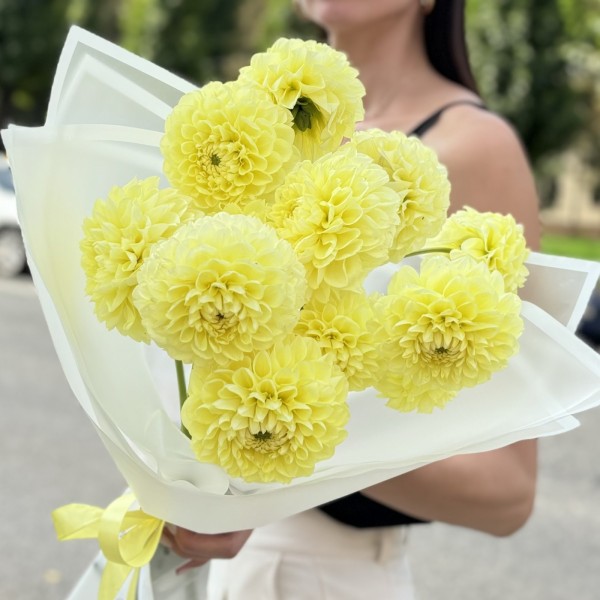11 желтых георгин Помпон
