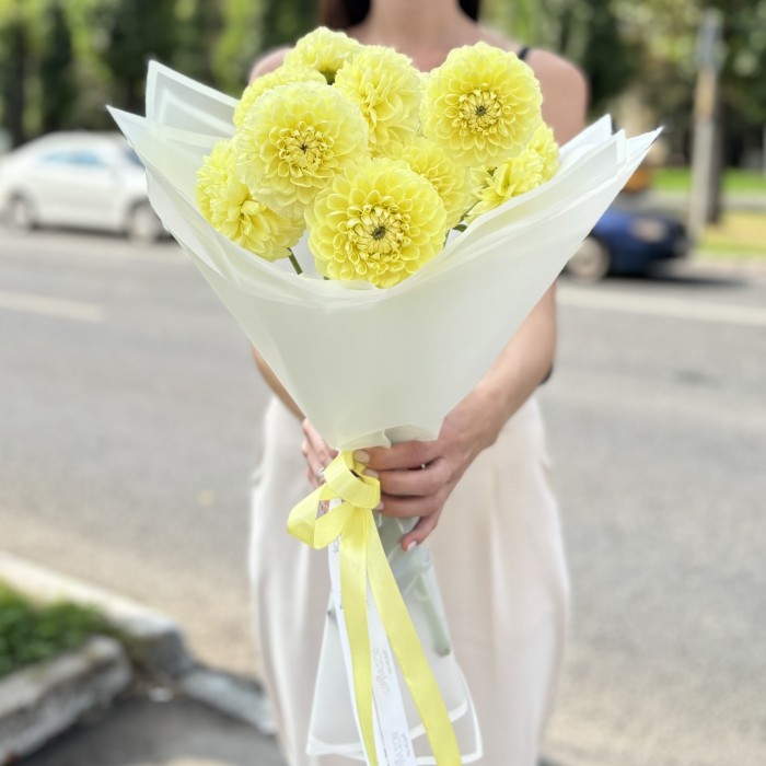 11 желтых георгин Помпон
