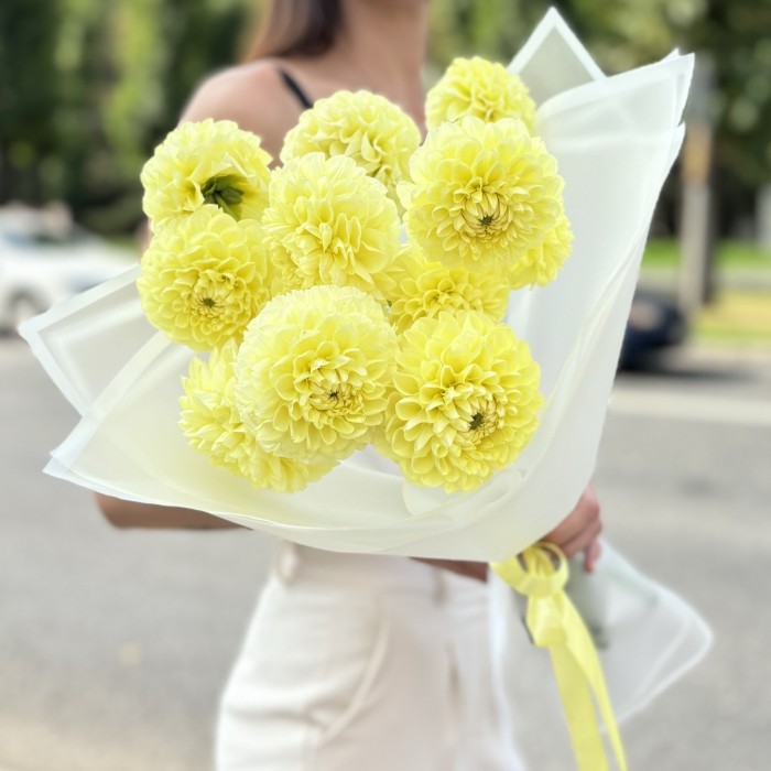 11 желтых георгин Помпон