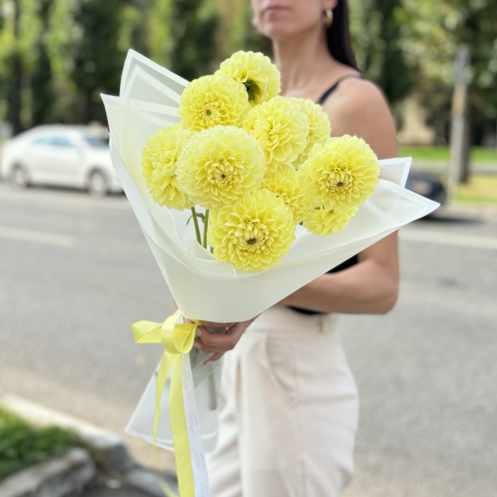 11 желтых георгин Помпон