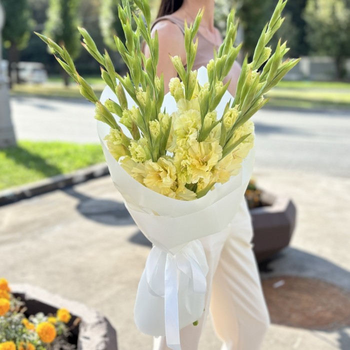 11 желтых гладиолусов