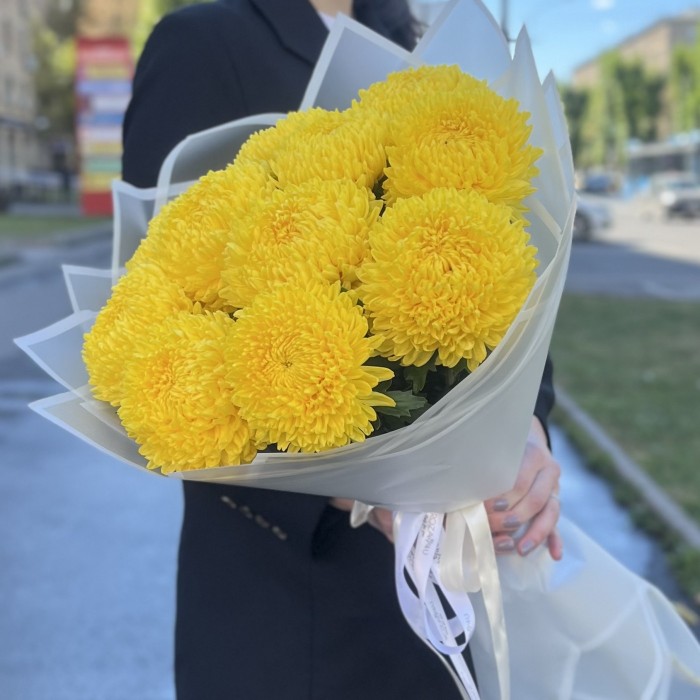 11 желтых хризантем