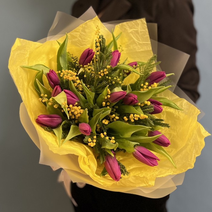 Яркие фиолетовые тюльпаны с мимозой