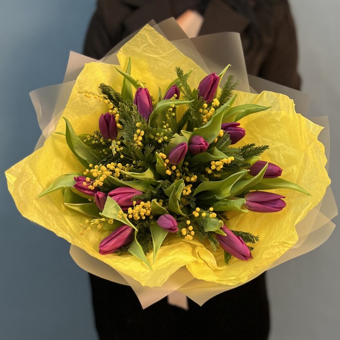 Яркие фиолетовые тюльпаны с мимозой