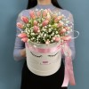 25 нежно розовых тюльпанов в коробке кошечка