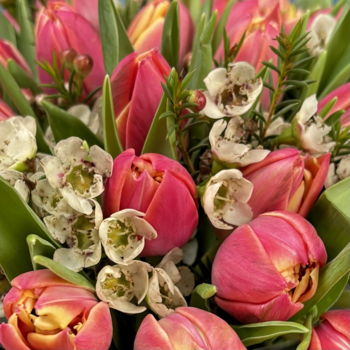 Мартовский вечер