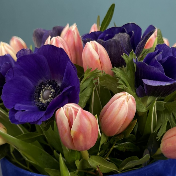 Синие анемоны с тюльпанами в бархатной коробке