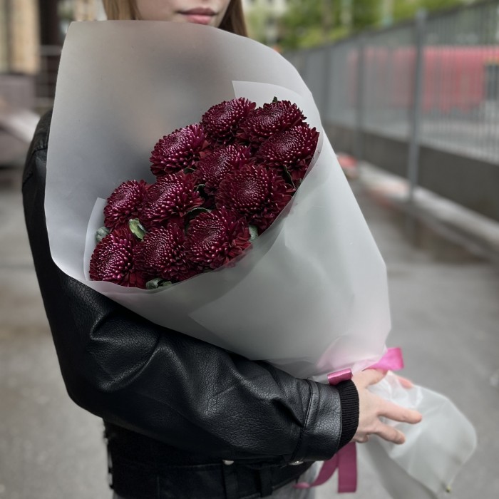 11 бордово-фиолетовых хризантем