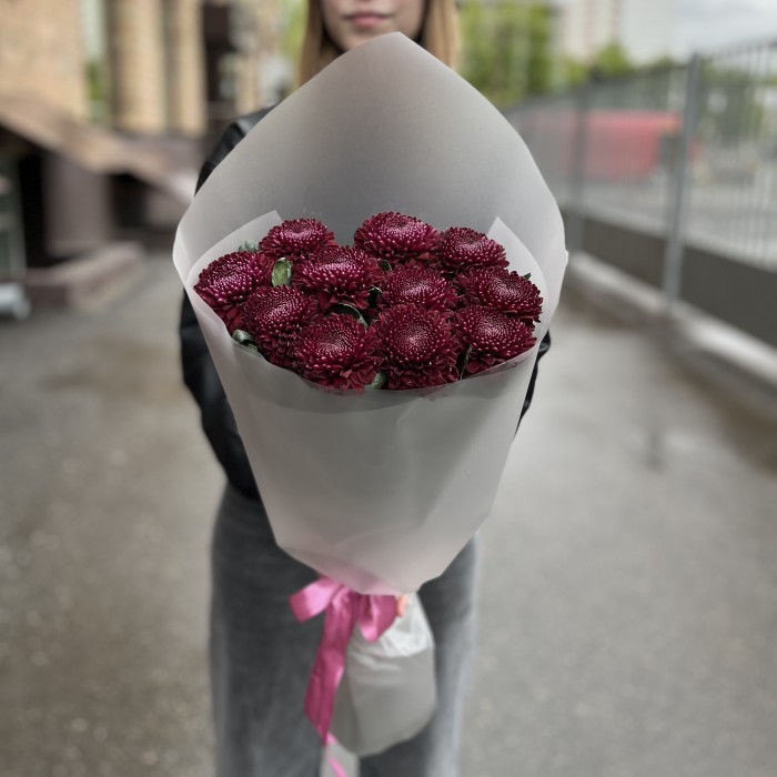 11 бордово-фиолетовых хризантем