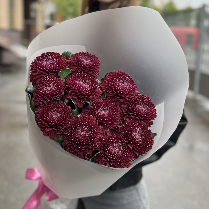 11 бордово-фиолетовых хризантем