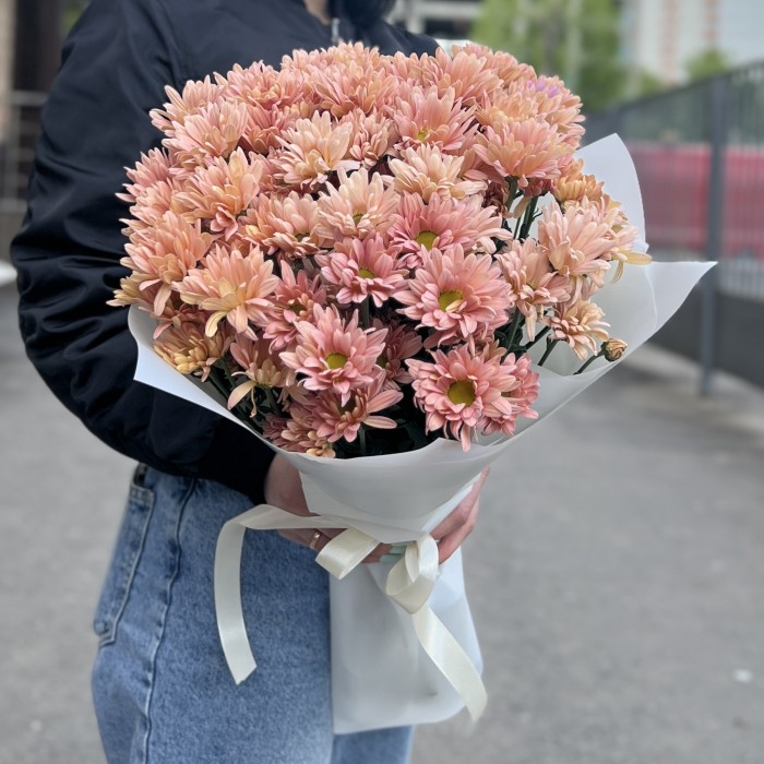 11 персиковых кустовых хризантем Салмон