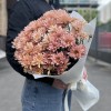 11 персиковых кустовых хризантем Салмон