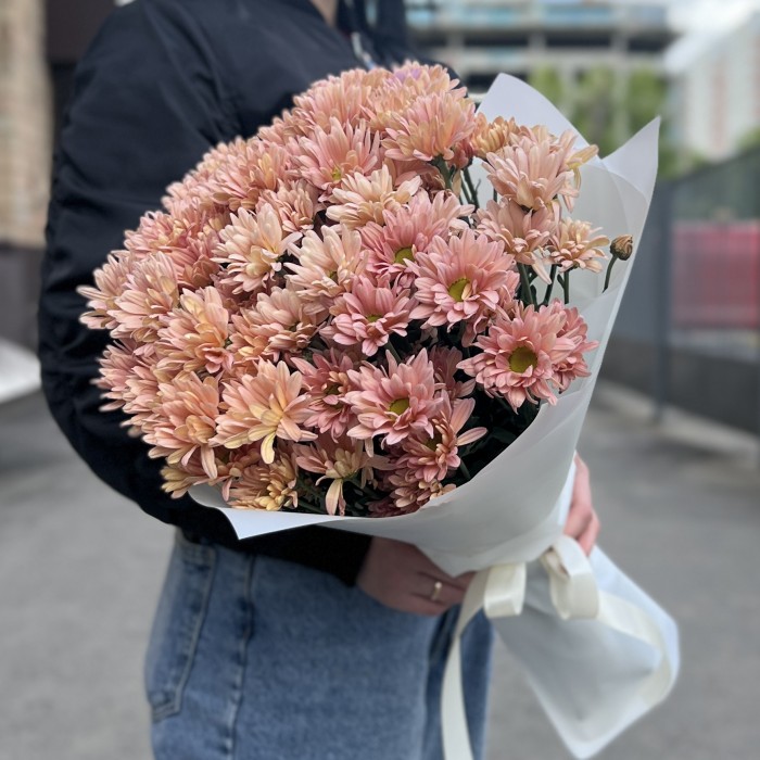 11 персиковых кустовых хризантем Салмон