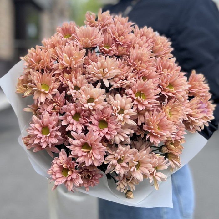 11 персиковых кустовых хризантем Салмон