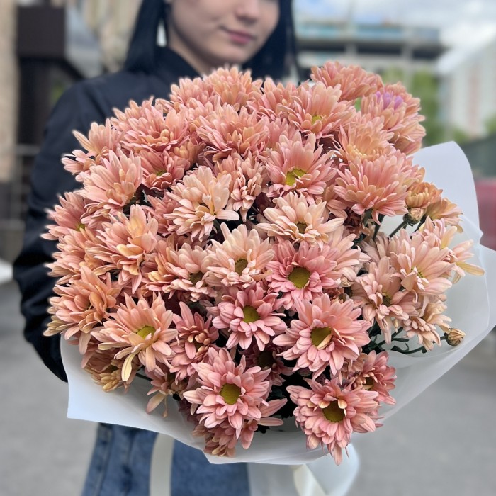 11 персиковых кустовых хризантем Салмон