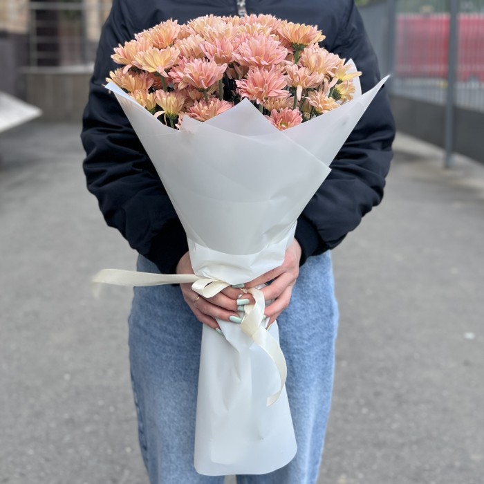 11 персиковых кустовых хризантем Салмон