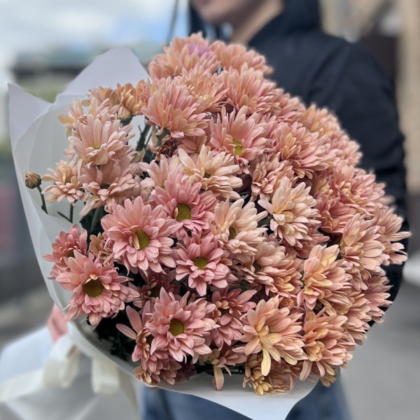 11 персиковых кустовых хризантем Салмон