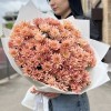 15 кремовых кустовых хризантем Салмон