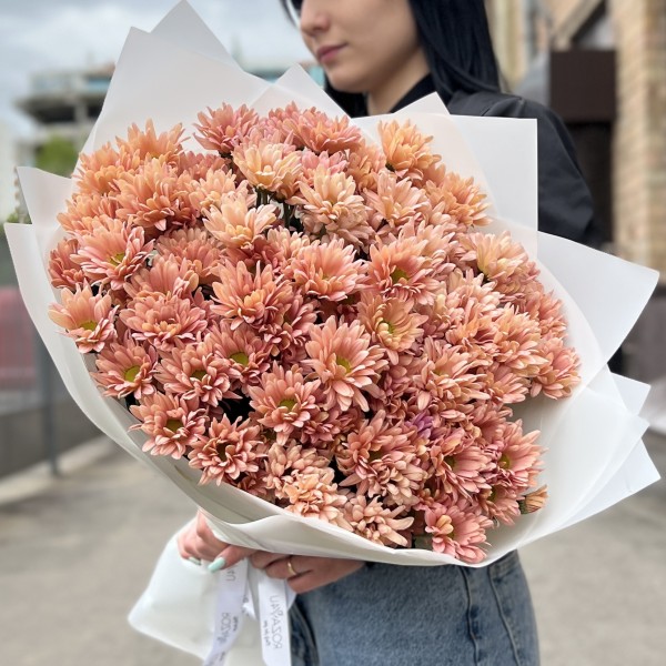 15 кремовых кустовых хризантем Салмон