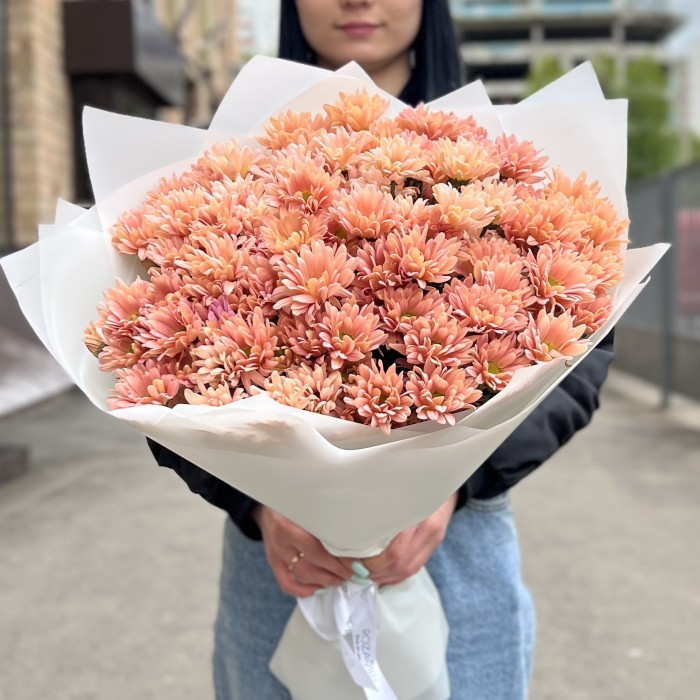 15 кремовых кустовых хризантем Салмон