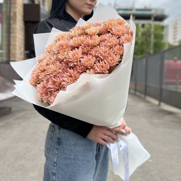 15 кремовых кустовых хризантем Салмон