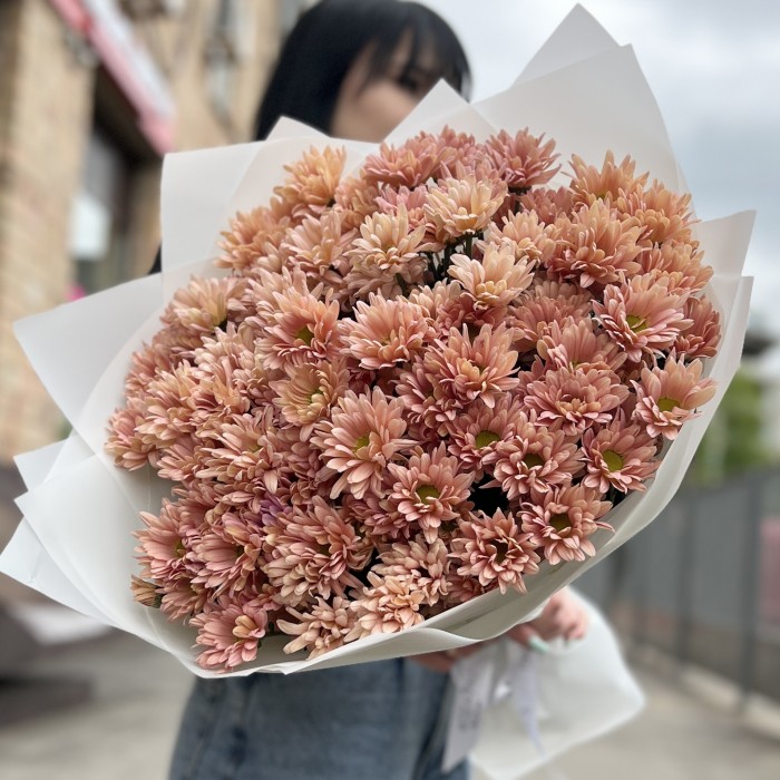 15 кремовых кустовых хризантем Салмон