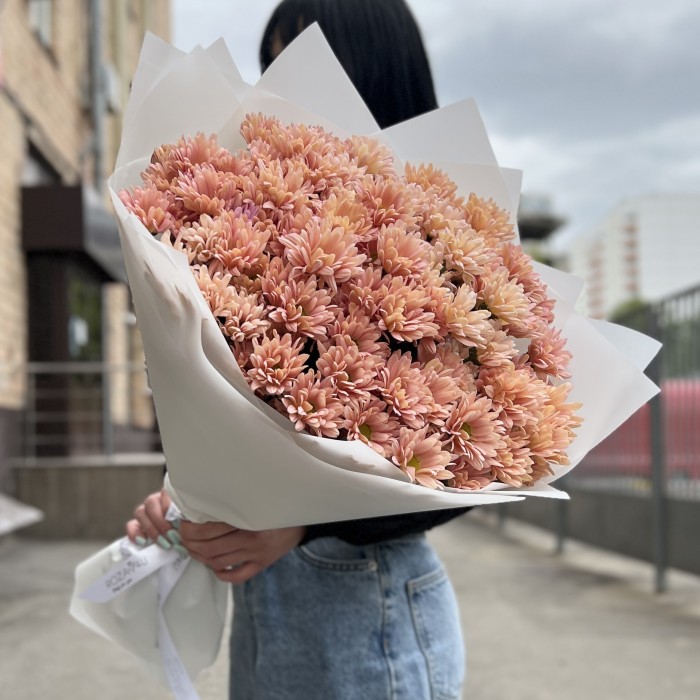 15 кремовых кустовых хризантем Салмон