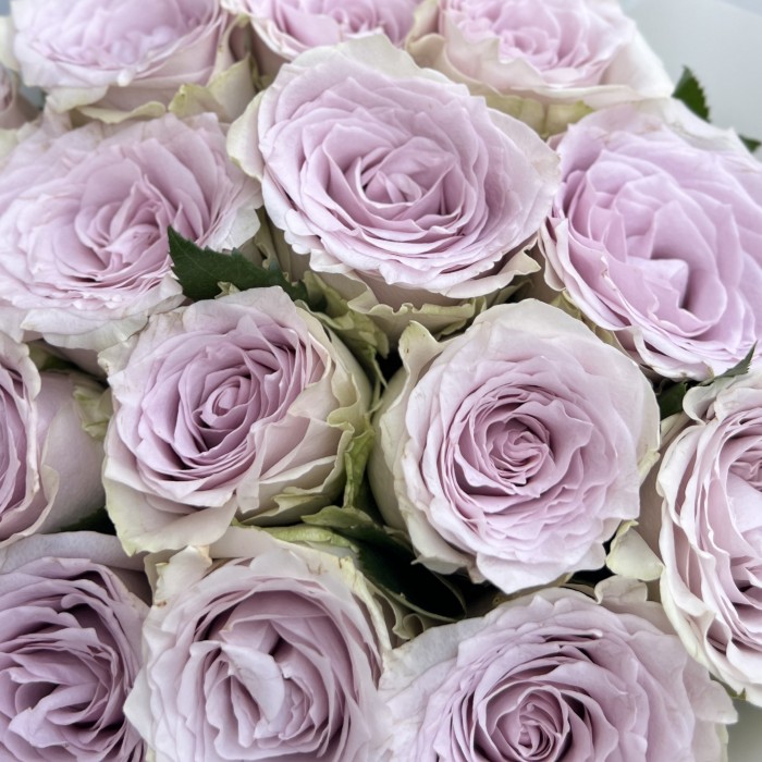 15 сиреневых роз Мемори Лейн 40 см