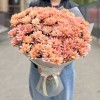 25 кустовых кремовых хризантем Салмон