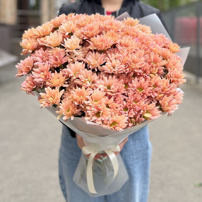 25 кустовых кремовых хризантем Салмон