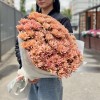25 кустовых кремовых хризантем Салмон