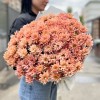 25 кустовых кремовых хризантем Салмон