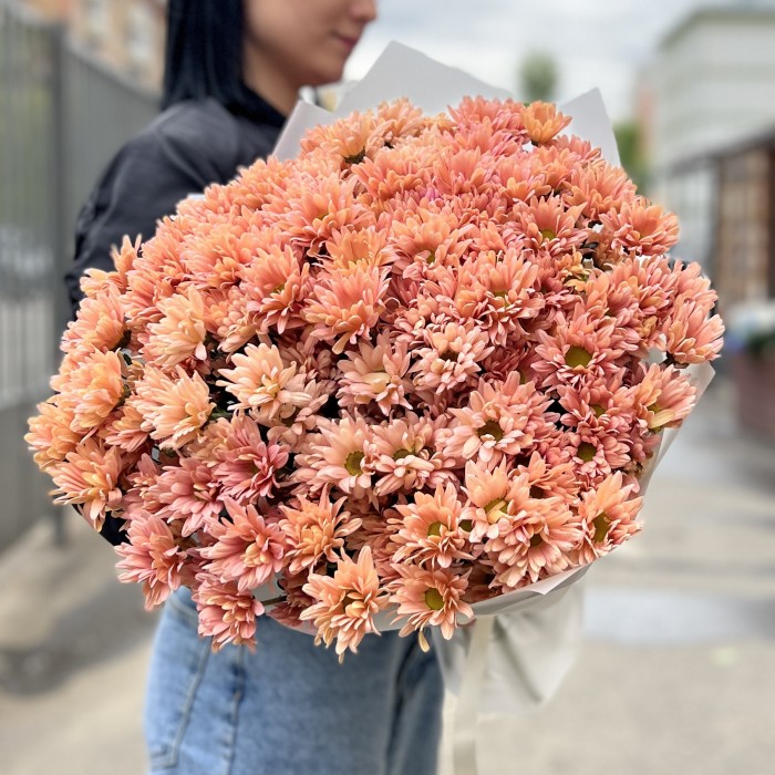 25 кустовых кремовых хризантем Салмон