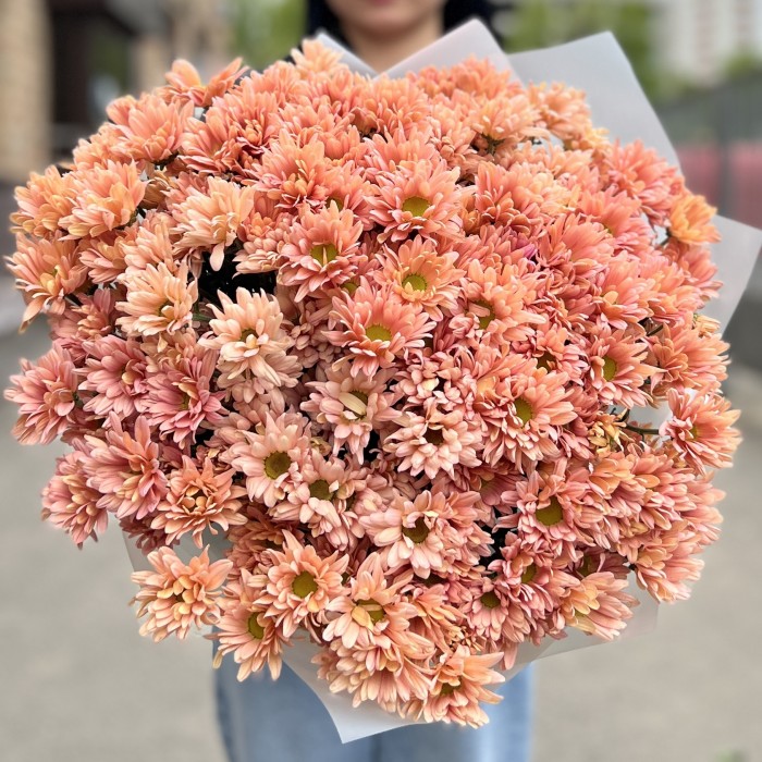 25 кустовых кремовых хризантем Салмон