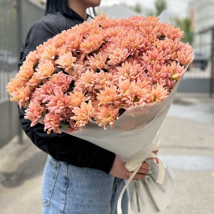 25 кустовых кремовых хризантем Салмон