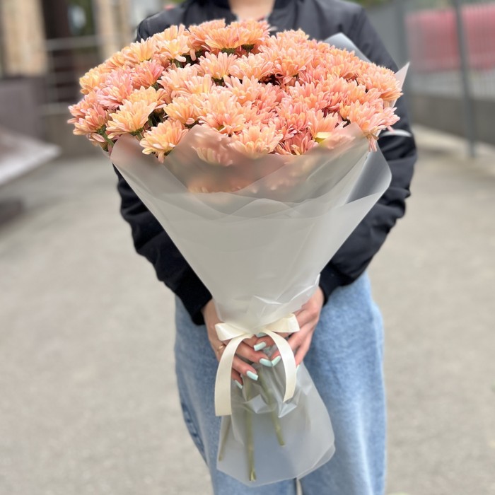 25 кустовых кремовых хризантем Салмон