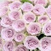 45 сиреневых роз Мемори Лейн 40 см