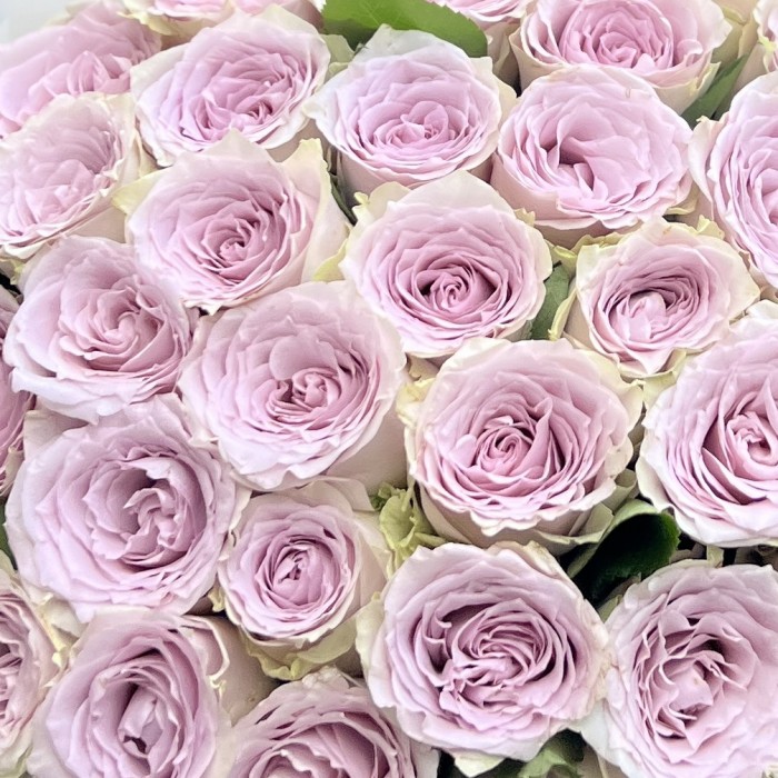 45 сиреневых роз Мемори Лейн 40 см